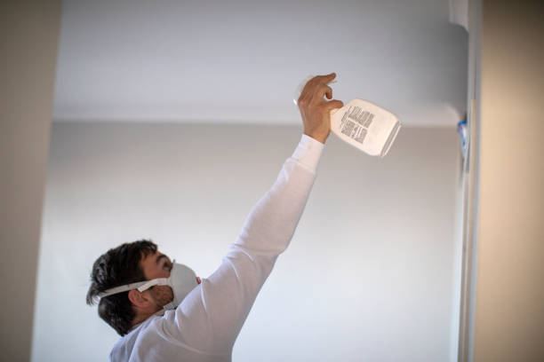 Best Mold Testing  in Logan, NM
