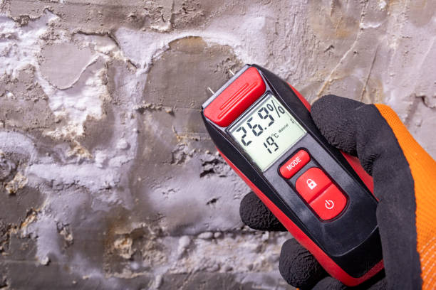 Office Mold Removal Services in Logan, NM