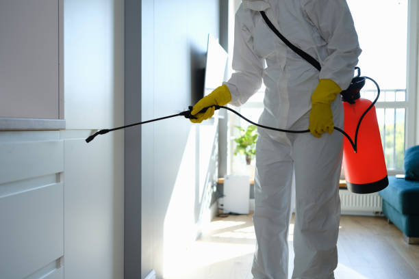 Best Office Mold Removal Services  in Logan, NM